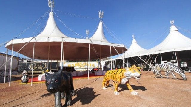 circo couri