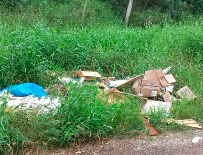 Caixas de papelão, restos de obras e plásticos foram deixados ao lado de córrego (Foto do leitor Igor Procópio)