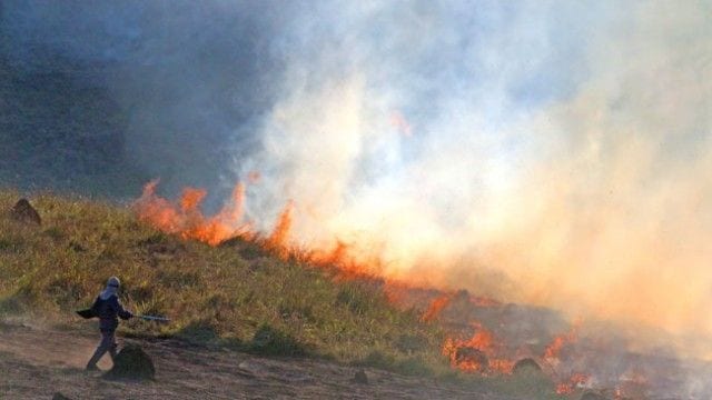 JF teve 645 queimadas este ano 2 incendio leo