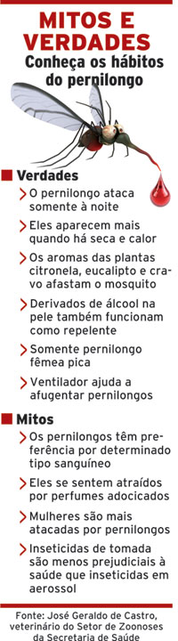 pernilongo internet