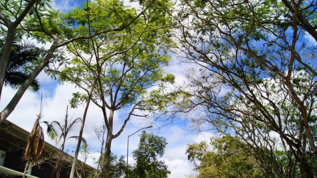 Temperatura máxima deve chegar a 25 graus nesta sexta-feira 1 Lara Toledo/03-10-14