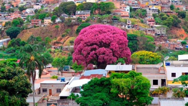 Tempo deve permanecer nublado durante todo o dia e sem chuva 1 Vista do Bairro Vila Ideal mostra tempo nublado