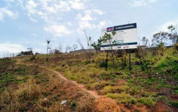 Escassez de área verde em JF 2 area do verbo divino que deveria estar reflorestada na zona norte tem apenas restos de vegetacao que sobraram das queimadas