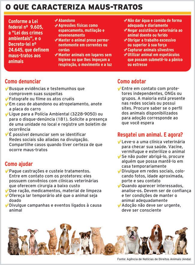 Vidas dedicadas a uma causa 4 cao causa2 internet