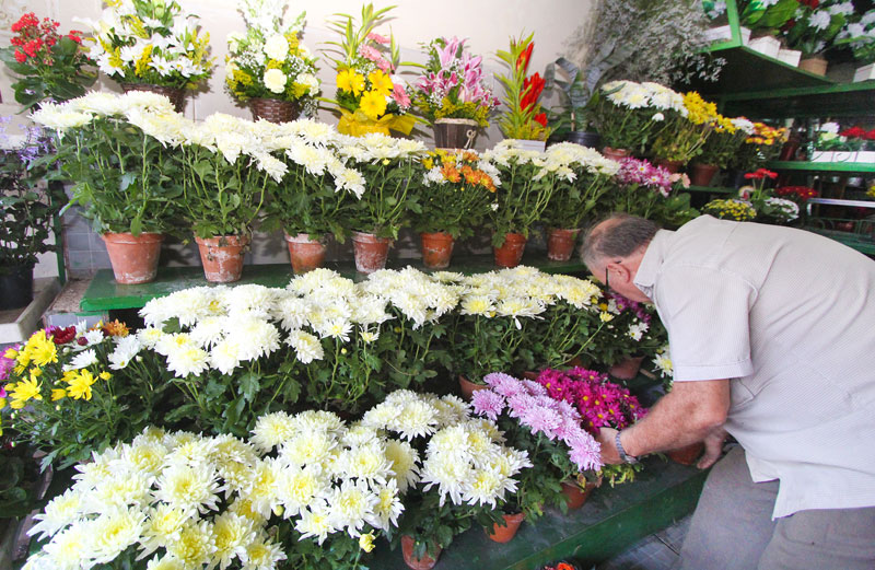 Felipe Couri/28-10-2014 Manoel aumentou o estoque de sua floricultura para atender consumidores
