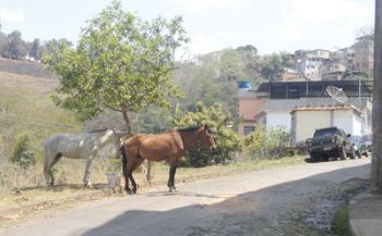 moradores do cruzeiro do sul e do graminha reclamam de transtornos