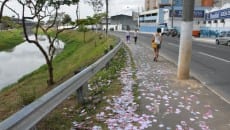 Eleições tranquilas em Juiz de Fora 5 sujeirabrasil2 marcelo e1412545832673