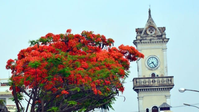 Quinta-feira será de tempo instável e temperatura em ligeiro declínio 1 tempo olavo