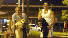 A praça é nossa 11 bompas cachorros
