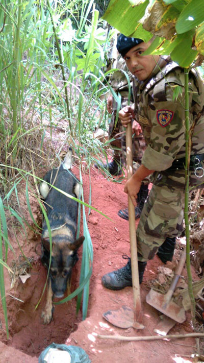 Com o auxílio dos cães farejadores, 16 pedras de crack que estavam em uma sacola foram desenterradas (Foto: Divulgação PM)