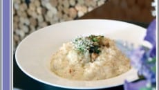 Bacalhau de cara nova 2 receita bacalhau slide2