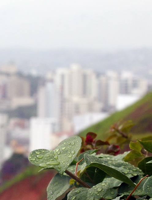 Foto: Leonardo Costa/09-03-15 tempo-leo-chuva-2