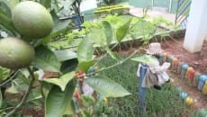 Outras ideias com Maria Geny Barbosa 9 091