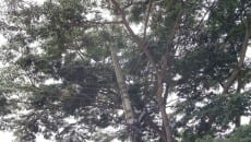 Morador elenca série de problemas no Bairro Fábrica 3 IMG 20150409 WA0012
