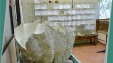 Coleções históricas 11 M11