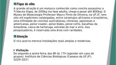 Coleções históricas 12 M12