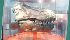 Coleções históricas 7 M7