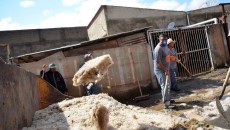 Após tempestade, moradores e comerciantes contabilizam prejuízos 1 jardim natal olavo
