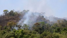 Bombeiros e militares do Exército combatem incêndio em área na Remonta 2 incendio 01 priamo