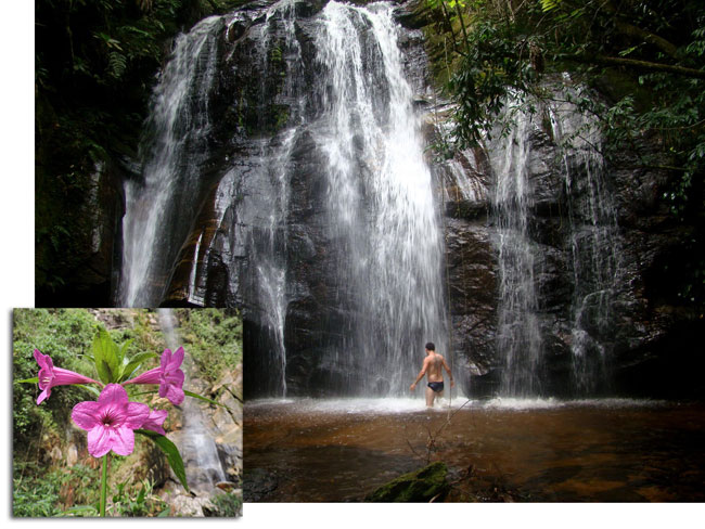 Região deve ganhar parque 5 vezes maior que Ibitipoca 4 Além das belas cachoeiras, importância do local foi constatada por meio de inventário florístico da UFJF (Foto: Márcio Lucinda)