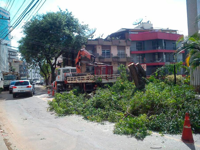 Corte de árvores e buraco ainda sem reparo tumultuam trânsito no Cascatinha 3 corte arvores leonardo costa