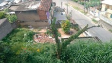 Leitores denunciam possíveis criadouros de dengue em vários bairros 5 dengue piscina jpg1