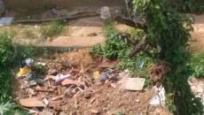 Leitores denunciam possíveis criadouros de dengue em vários bairros 6 dengue piscina zoom1