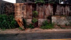 Leitores denunciam possíveis criadouros de Aedes aegypti 1 dengue terreno abandonado 3