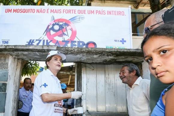 dilma dengue