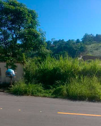 Leitores denunciam falta de capina em diversos lugares 2 Foto do leitor