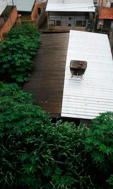 Leitores denunciam falta de capina em diversos lugares 1 Foto do leitor