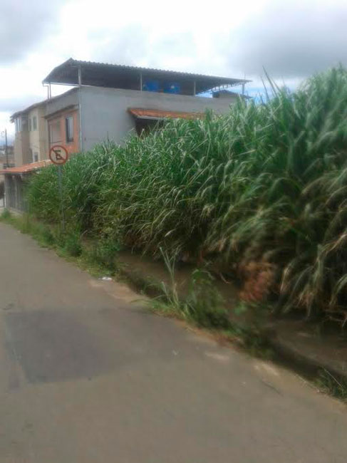 Mato alto toma calçada no São Pedro 1 mato alto sao pedro