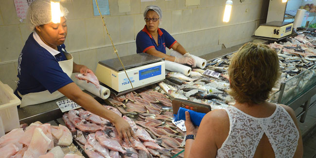 peixe-roberto-2