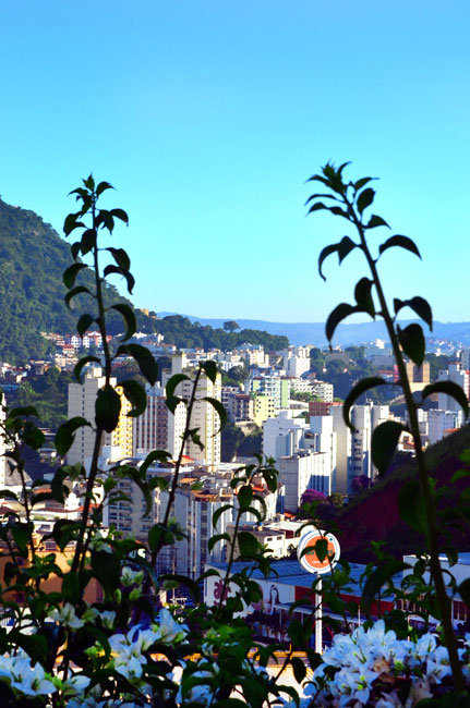 tempo-olavo.jpg-2
