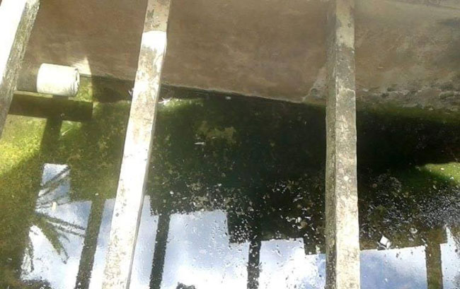 Leitora denuncia água parada em fábrica no Costa Carvalho 1 Foto da leitora Nivia Luz