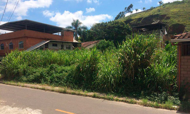 Falta de capina em lote preocupa moradores do Carlos Chagas (Foto da leitora Daianne Cristine)