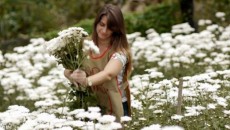 Mulheres de carne, osso e emoções 3 flores de piloes de ronaldo uzeda1