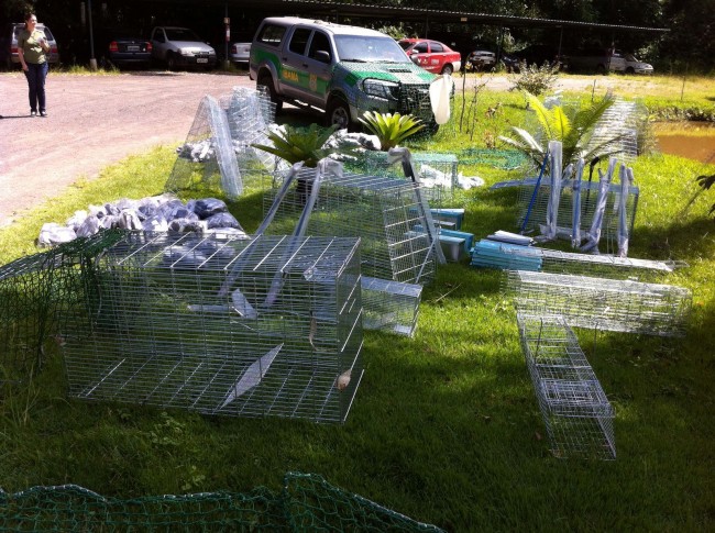 Ibama apreende 1.016 armadilhas para captura de animais na Zona da Mata 1 gaiolas olavo 1 e1457617742191