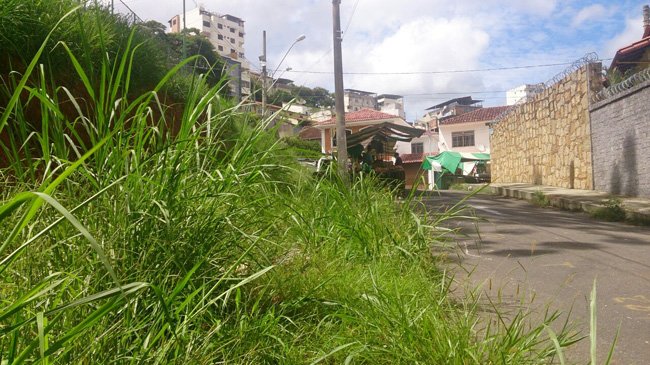 Mato alto na esquina das ruas Rodolfo Turiatti com Princesa Isabel (Foto: César Augusto Pereira 17-03-2016) 