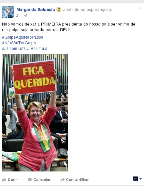 Nas redes sociais, deputados de Juiz de Fora se manifestam 6 face-margarida