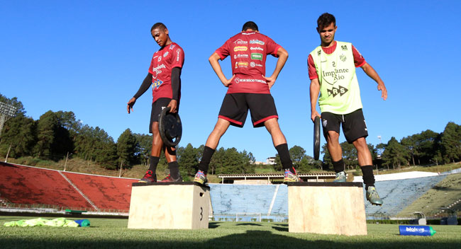 Foto: Leonardo Costa tupi-leo
