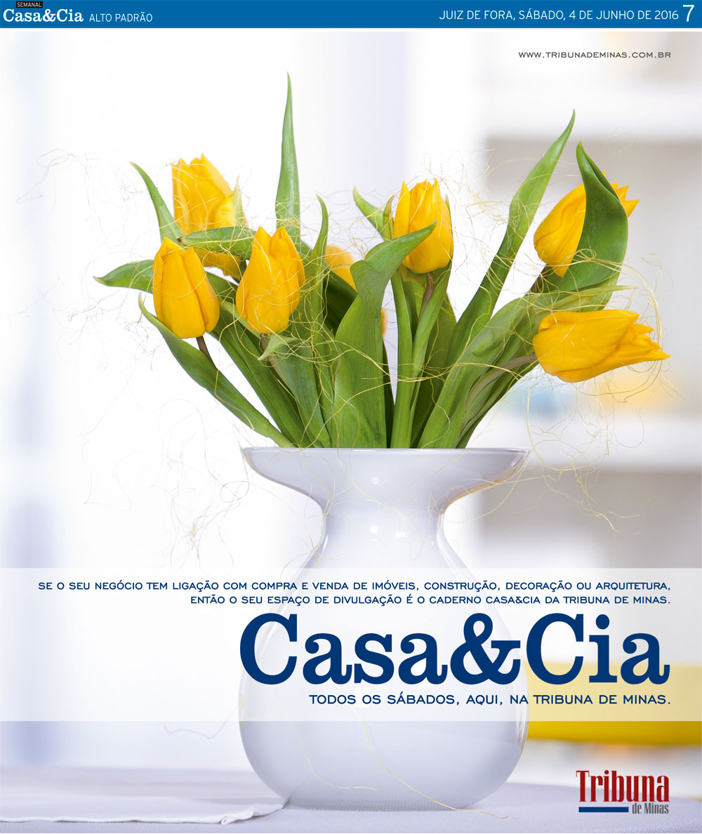 Casa & Cia - 04-06-16 31 04-06-2016---casa-e-cia-7