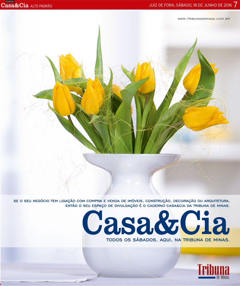 Casa & Cia - 18-06-16 31 18-06-2016---casa-e-cia-7
