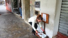 Juiz-foranos criam 'self-service' gratuito para cães de rua 2 cahorro 650x480 31