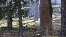 Suposta ameaça de bomba fecha trânsito no campus da UFJF 5 bomba detonada