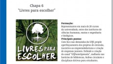 chapas dce6