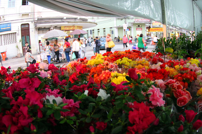 Festival de flores vai até o dia 14 deste mês (Foto: Fernando Priamo 10-06-2015)