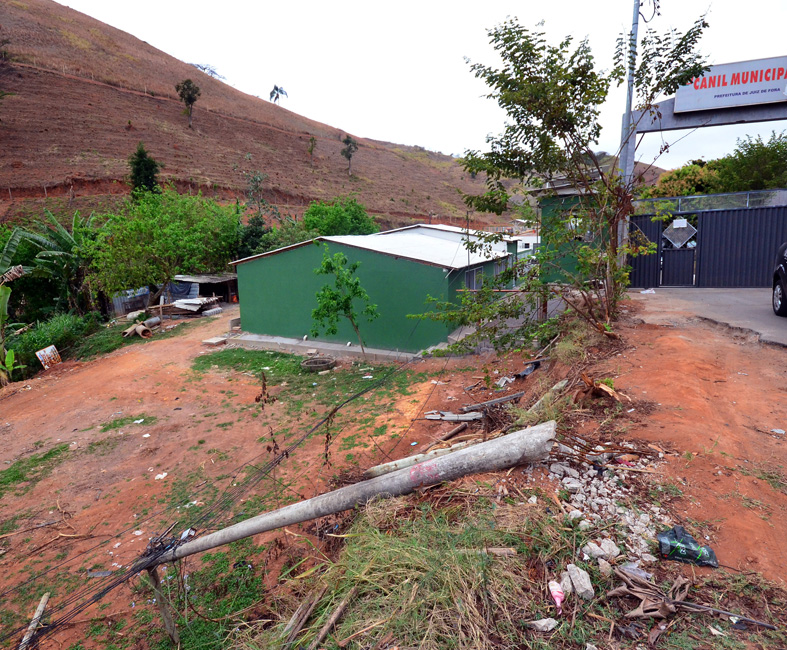 Poste caído há mais de um mês em frente ao Canil Municipal 2 Olavo Prazeres/23-08/16