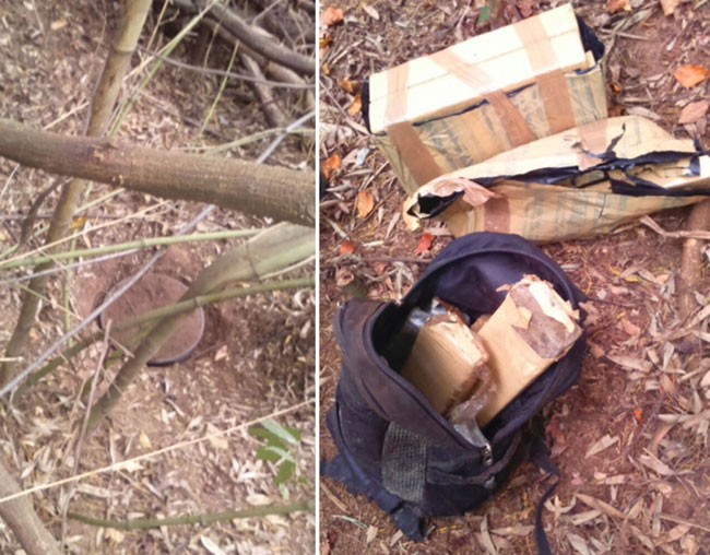 PM encontra 30kg de maconha enterrados em área de mata 1 colagem drogas e1471875679815