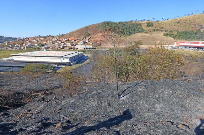 JF registra mais de 580 incêndios este ano 1 O incêndio atingiu 20 mil metros quadrados de área às margens da BR-040. (Foto: Leonardo Costa)